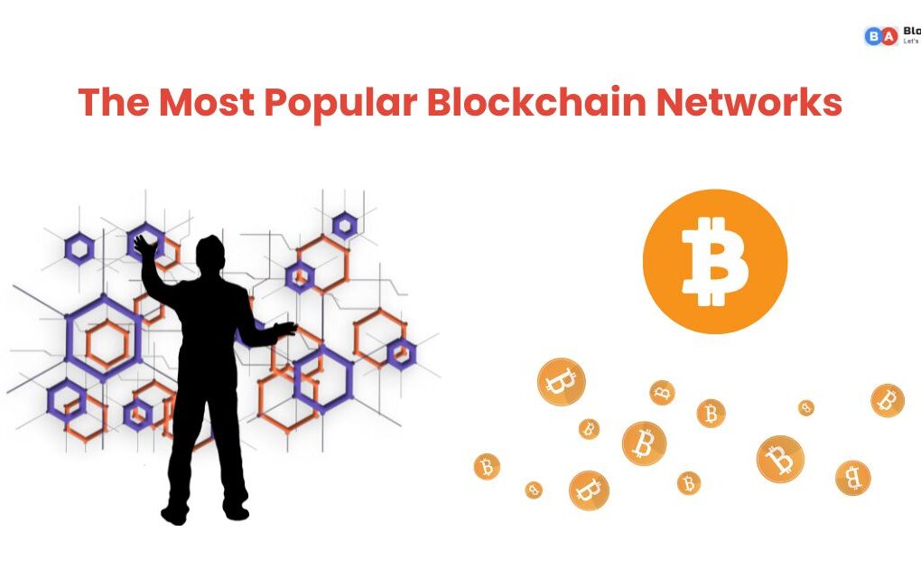 The Most Popular Blockchain Networks