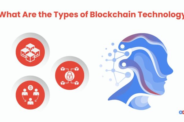What Are the Types of Blockchain Technolog