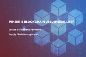 Where is blockchain used in real life.