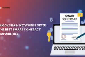 Which blockchain networks offer the best smart contract capabilities